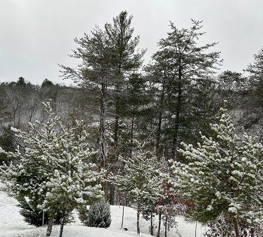 February Events McDowell County NC