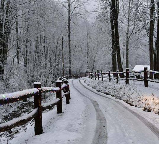 January Events McDowell County NC