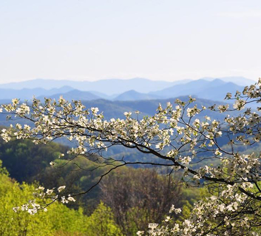 March Events McDowell County NC