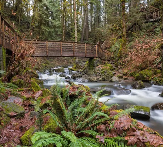 November Events McDowell County NC